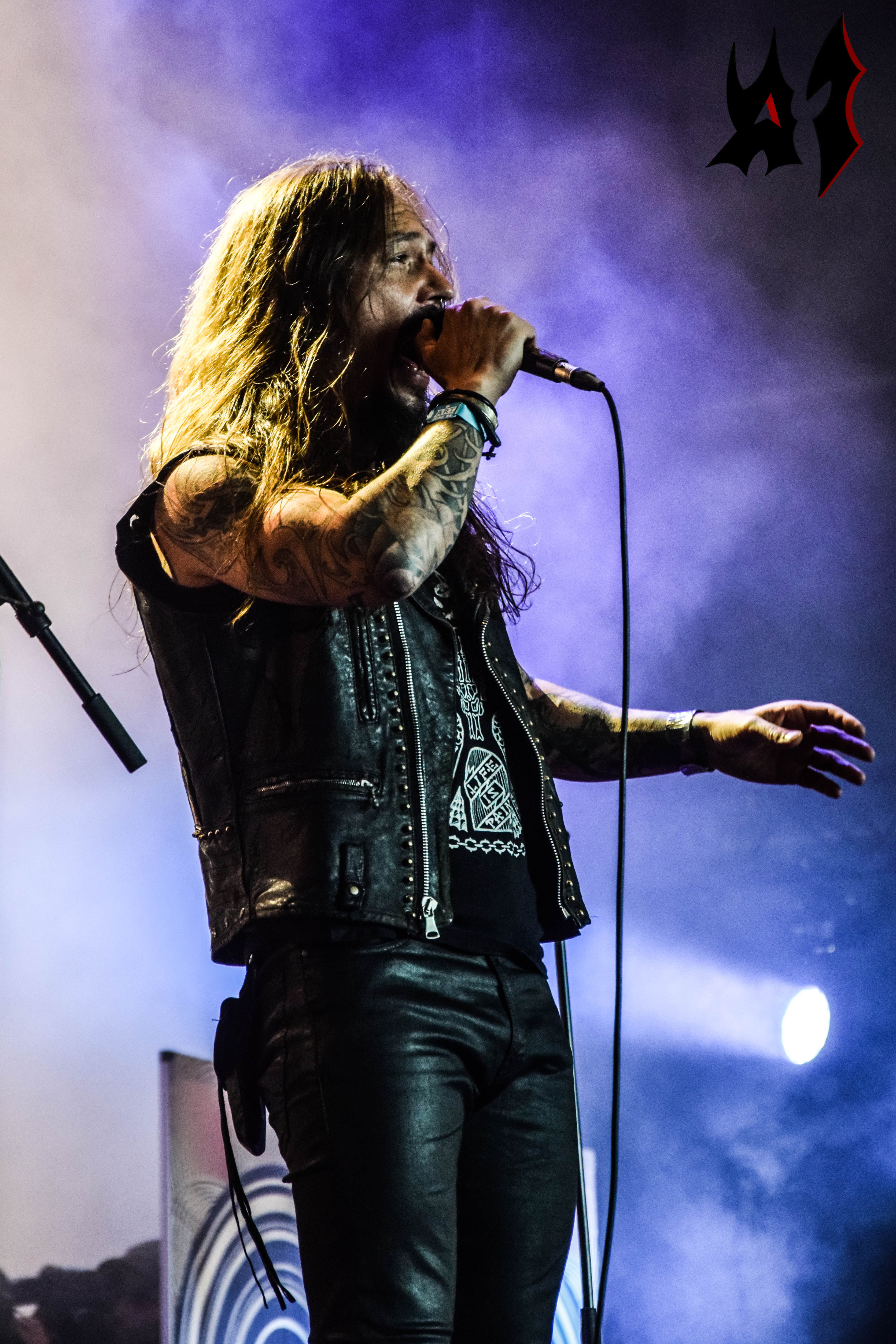 Hellfest 2018 – Day 3 - Amorphis 1