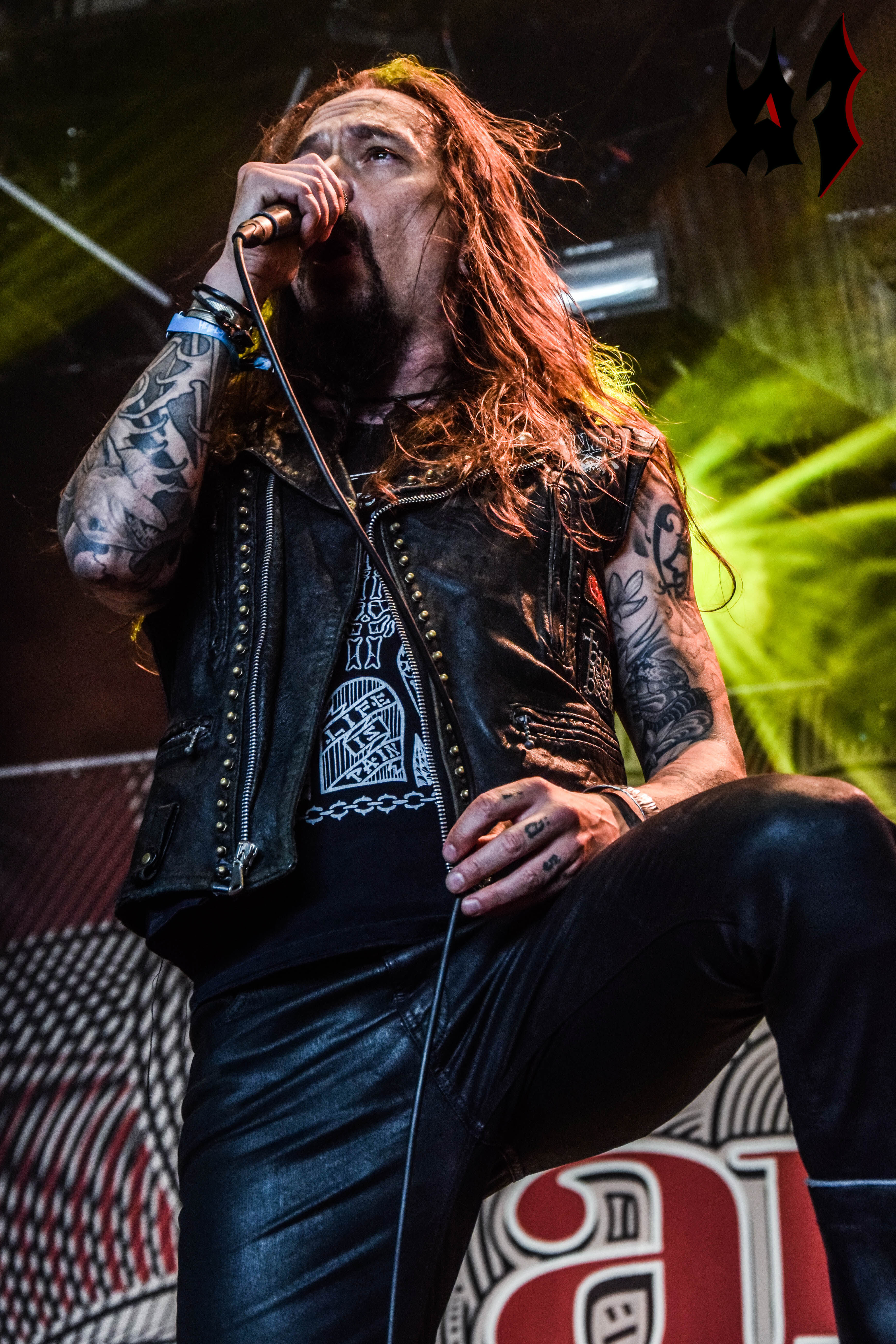 Hellfest 2018 – Day 3 - Amorphis 18