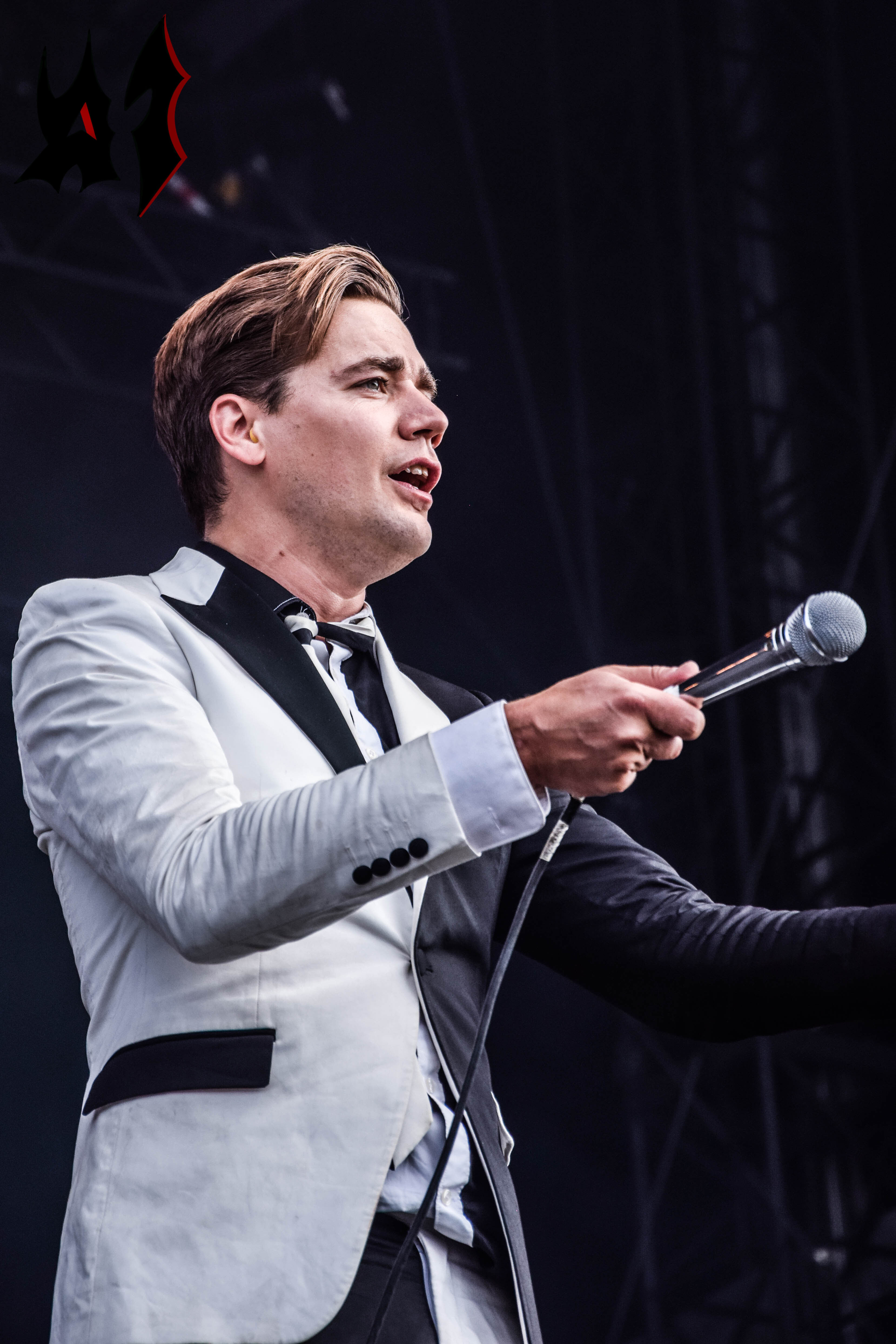 Donwload 2018 – Day 3 - The Hives 22