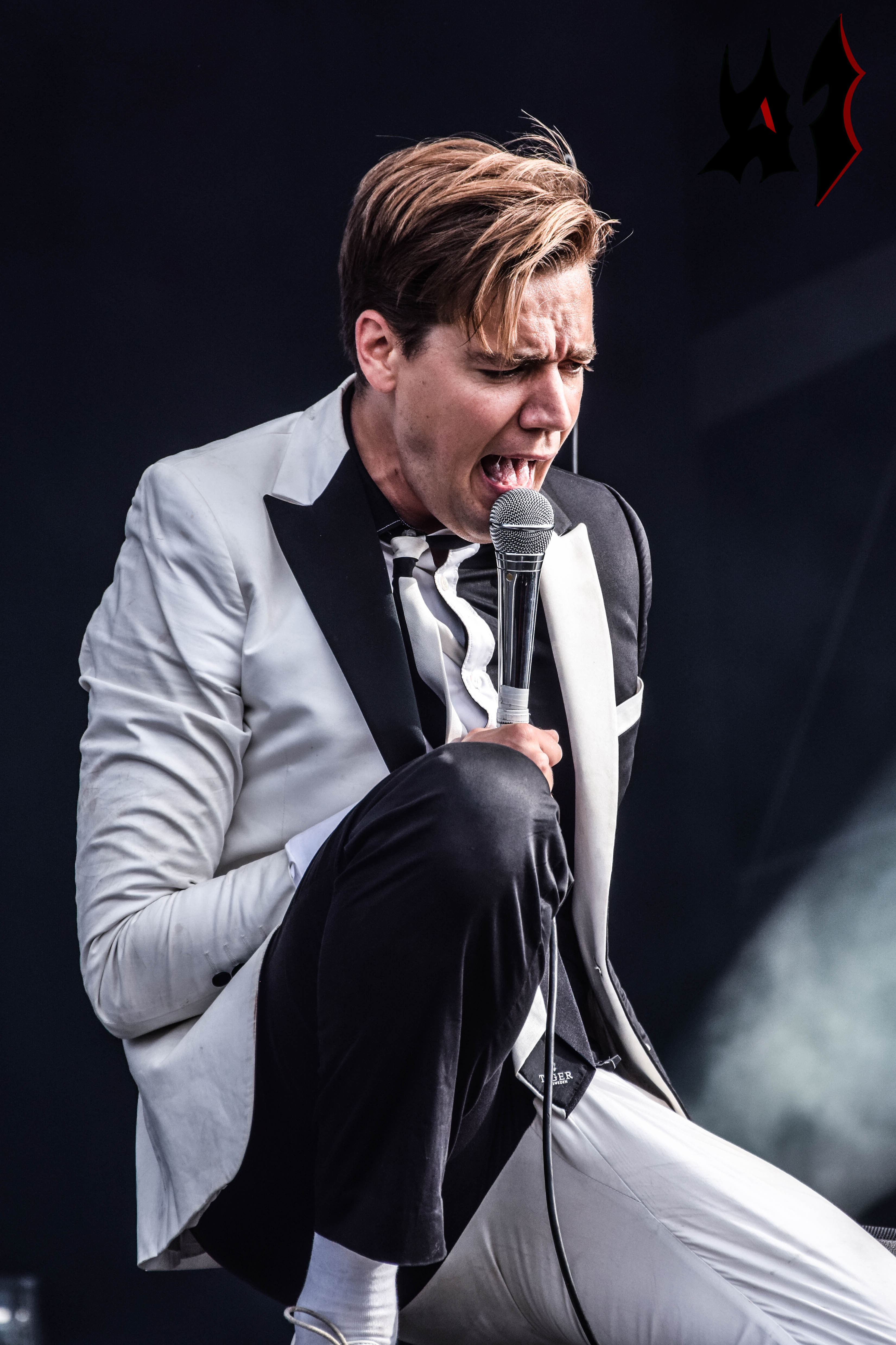 Donwload 2018 – Day 3 - The Hives 27