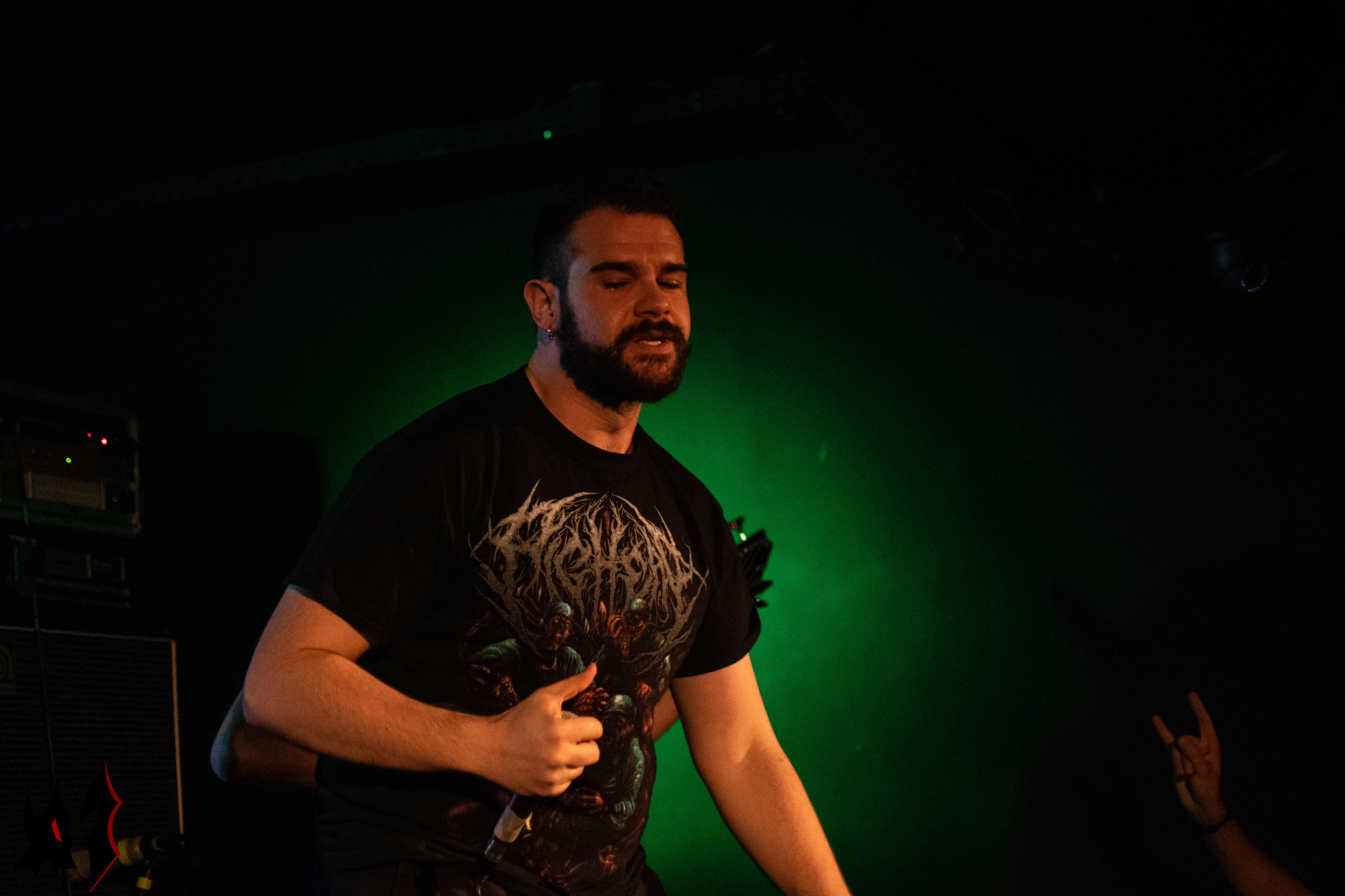 Defeated Sanity - 2