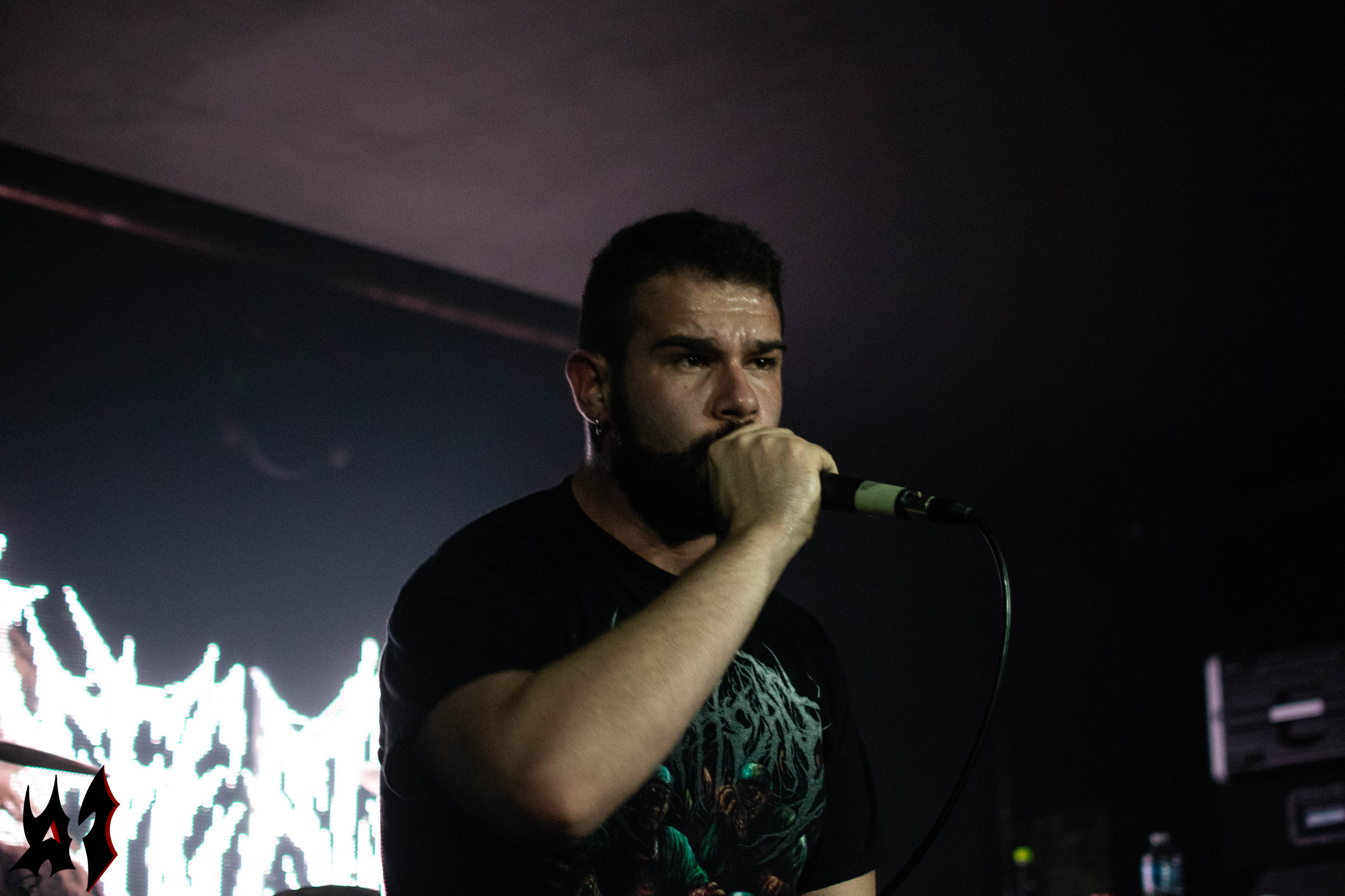 Defeated Sanity - 3