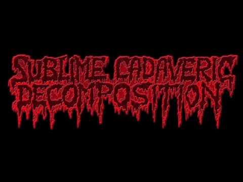 Review 166 : Sublime Cadaveric Decomposition – Raping Angels In